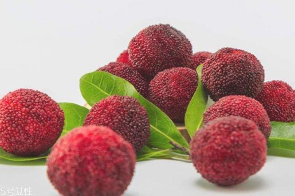 杨梅怎么把虫子泡出来 杨梅有虫还能吃吗 杨梅怎么把虫子泡出来 杨梅有虫还能吃吗