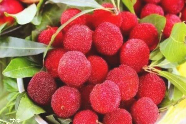 杨梅怎么把虫子泡出来 杨梅有虫还能吃吗 杨梅怎么把虫子泡出来 杨梅有虫还能吃吗
