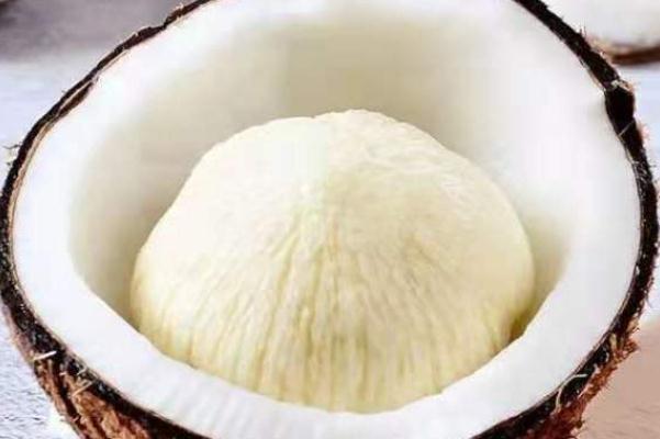 椰宝的口感 椰宝是怎么形成的 椰宝的口感 椰宝是怎么形成的