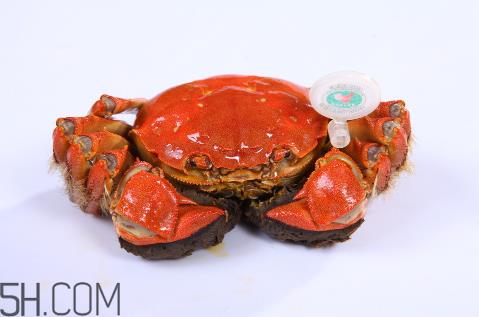 螃蟹和草莓可以一起吃吗?吃了草莓可以吃螃蟹吗? 螃蟹和草莓可以一起吃吗?吃了草莓可以吃螃蟹吗?