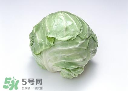 孕妇能吃卷心菜吗?孕妇吃卷心菜好吗 孕妇能吃卷心菜吗?孕妇吃卷心菜好吗