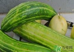 菜瓜到底是不是黄瓜? 菜瓜和黄瓜的区别 菜瓜到底是不是黄瓜? 菜瓜和黄瓜的区别