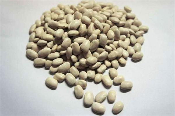 芸豆可以减肥吗 芸豆怎么吃减肥