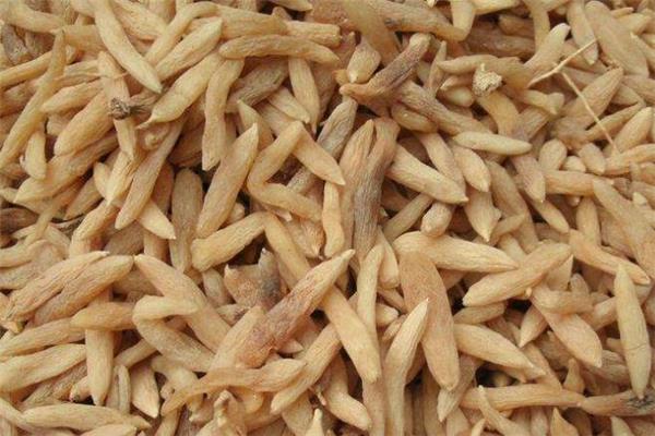 麦冬适合什么样的人吃 麦冬什么人不能喝 麦冬适合什么样的人吃 麦冬什么人不能喝