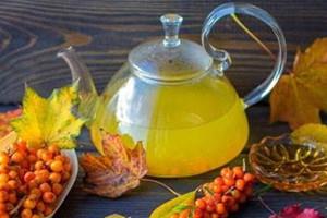 沙棘茶什么时候喝最好 沙棘茶的饮用最佳时间 沙棘茶什么时候喝最好 沙棘茶的饮用最佳时间