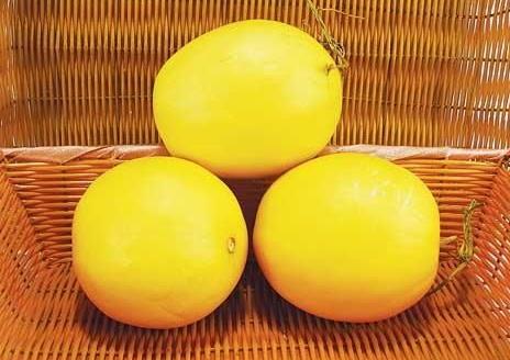 伊丽莎白瓜不能和什么一起吃 伊丽莎白瓜什么人不能吃 伊丽莎白瓜不能和什么一起吃 伊丽莎白瓜什么人不能吃