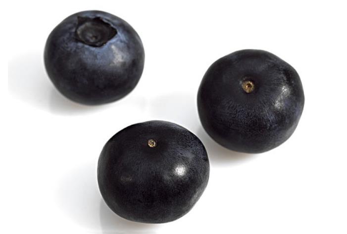 吃蓝莓需要去皮吗 蓝莓上的白霜需要洗掉吗 吃蓝莓需要去皮吗 蓝莓上的白霜需要洗掉吗