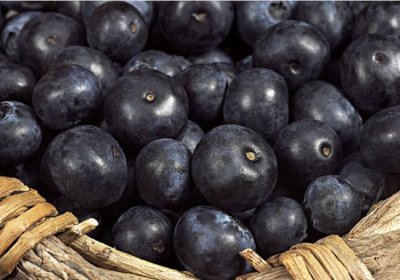 ​吃蓝莓需要去皮吗 蓝莓上的白霜需要洗掉吗