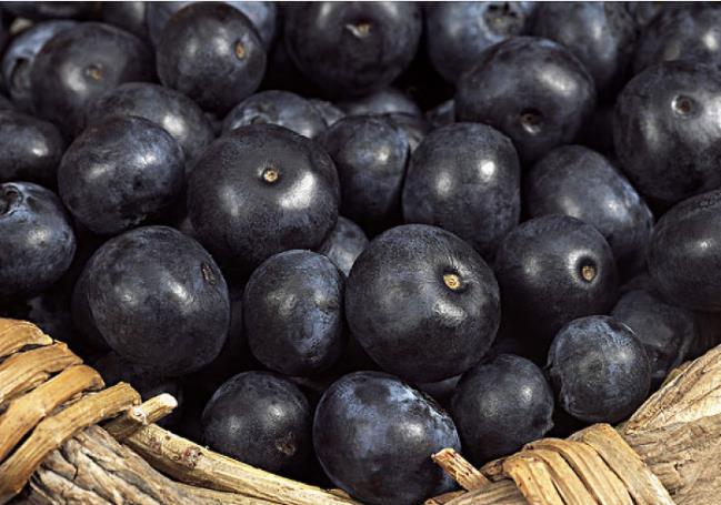 吃蓝莓需要去皮吗 蓝莓上的白霜需要洗掉吗 吃蓝莓需要去皮吗 蓝莓上的白霜需要洗掉吗