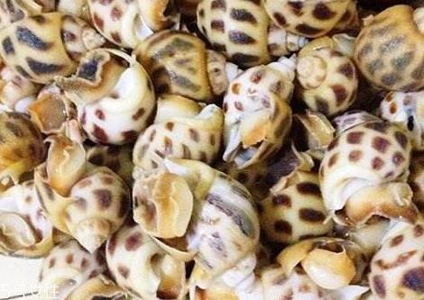 花螺要煮多久才熟 花螺怎么煮好吃 花螺要煮多久才熟 花螺怎么煮好吃