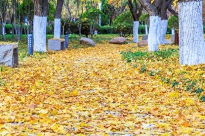 侯卫东官场笔记有感而发