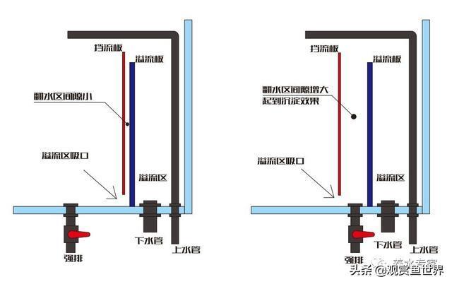 别再傻傻被网络小视频忽悠，你到底需不需要鱼马桶？