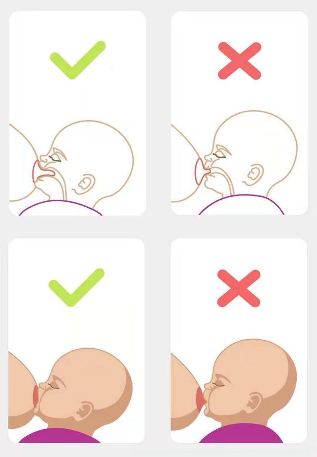 怎样催奶?（靠谱的催奶方法只有这）(3)