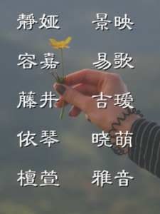 书字五行属什么