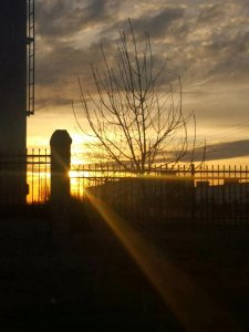 ​寡居中老年女性的生理需求解决之道：多名女性真实经验分享