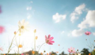 ​全能保险柜维修保险柜密码忘了钥匙还在，可紧急钥匙丢了怎么办？