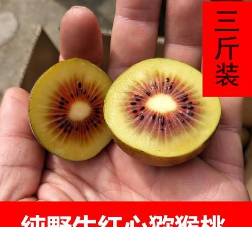 翠香猕猴桃催熟说明