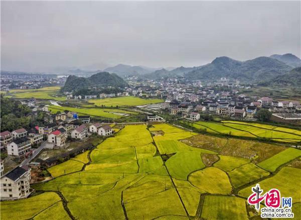 坪上镇属于哪个县(坪上镇人口多少)