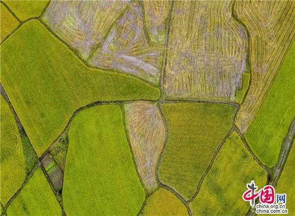 坪上镇属于哪个县(坪上镇人口多少)