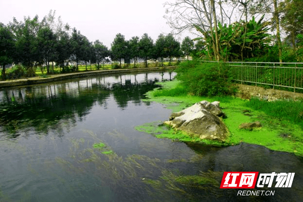 坪上镇属于哪个县(坪上镇人口多少)