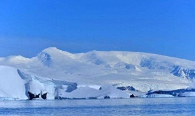 ​长达3米的南极巨虫，生猛无比能生吞海豹，却因这一原因濒临灭绝