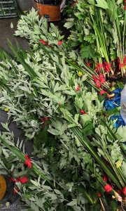 ​艾草与菖蒲的寓意与实用价值