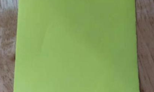 如何叠千纸鹤,怎么叠千纸鹤一步一步教简单图28