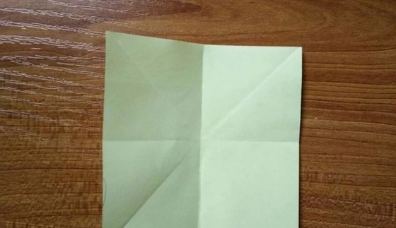 如何叠千纸鹤,怎么叠千纸鹤一步一步教简单图19