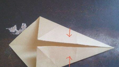 如何叠千纸鹤,怎么叠千纸鹤一步一步教简单图6