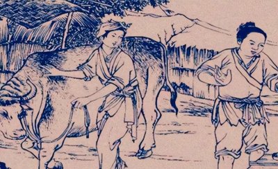 ​“只有累死的牛，没有耕坏的田”俗语高深