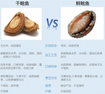 ​市面常见鲍鱼品种介绍，很全面，建议收藏！