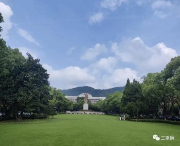 ​浅析·奶嘴理论