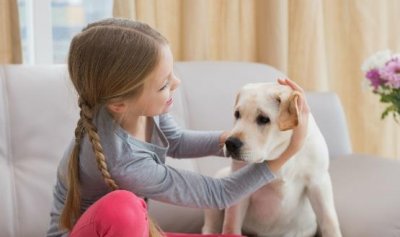 ​狗狗吃生骨肉的好处 喂食狗狗生肉需要注意的地方