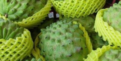 ​释迦果的功效与禁忌（