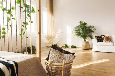 如何养好水培广东万年青