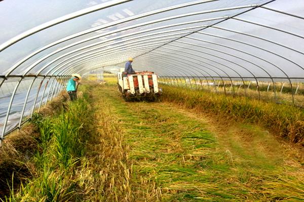 农庄和家庭农场有什么区别(什么叫家庭农场)(9)