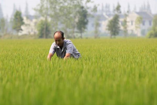 农庄和家庭农场有什么区别(什么叫家庭农场)(5)