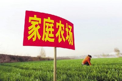 农庄和家庭农场有什么区别(什么叫家庭农场)