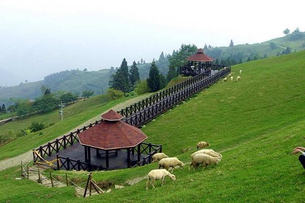 农庄和家庭农场有什么区别(什么叫家庭农场)(7)