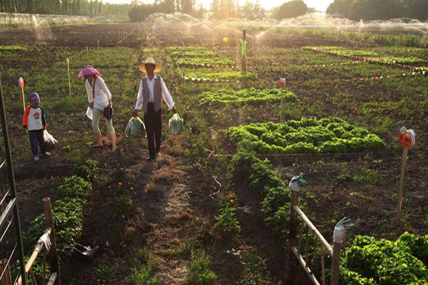 农庄和家庭农场有什么区别(什么叫家庭农场)(2)