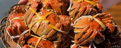 大螃蟹壳属于什么垃圾分类 蟹壳 垃圾分类