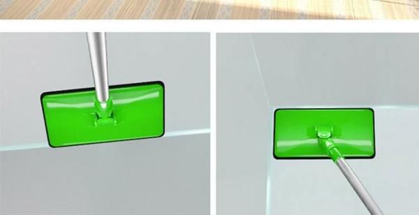 鱼缸起青苔的解决办法,鱼缸长“青苔”怎么办?图4