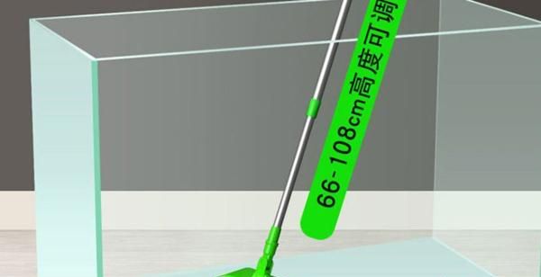 鱼缸起青苔的解决办法,鱼缸长“青苔”怎么办?图1