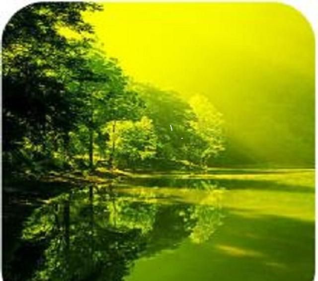 新婚第一天的早晨,新婚第一天电视剧图2