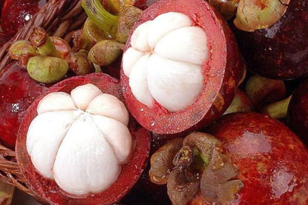 山竹可以和龙眼一起吃吗 山竹的吃法