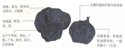 ​小寒吃什么中药好?何首乌抗老护发最佳品