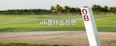 ​ob是什么意思