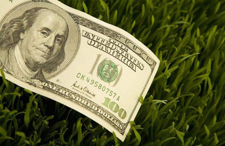 usd是什么货币(你知道吗)