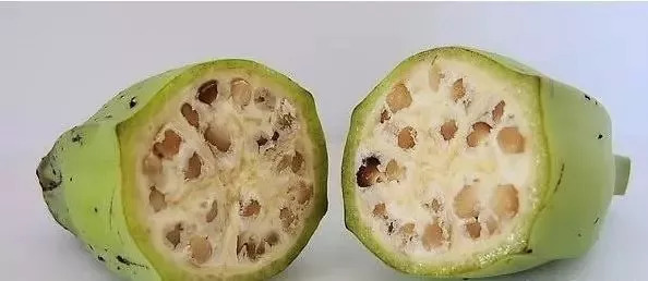 香蕉的种子是什么(关于香蕉的小知识分享)