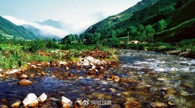 ​格桑花草原——怜取眼前人